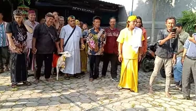 Perilaku Menyimpang, Video Warga Gresik 'Nikahi' Seekor Kambing Bikin Gempar
