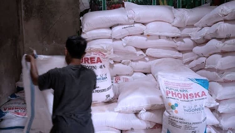 Pupuk Subsidi Fokus pada Urea dan NPK, Ini Kata Pengamat