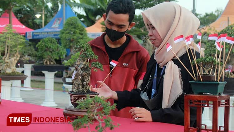 2 Desa di Kabupaten Kediri Bakal Inisiasi Pembuatan Suvenir Bonsai Mini