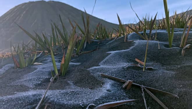 Embun Es Muncul di Gunung Bromo, Super Dingin!