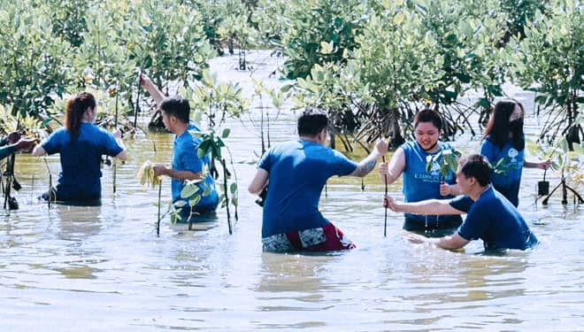 Peringati Hari Mangrove Sedunia, Komunitas Karbon Biru Tanam 1000 Bibit