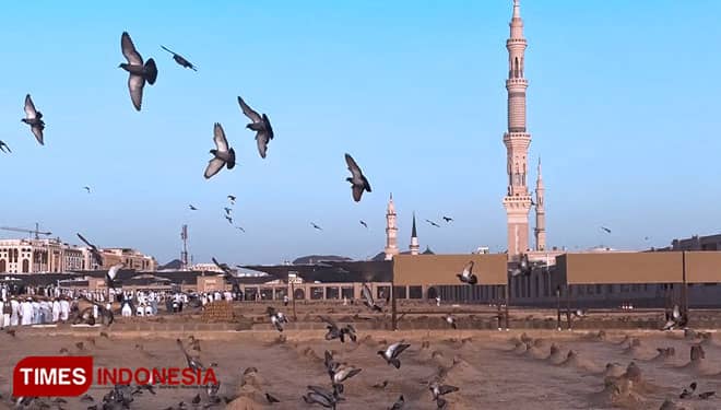 Merpati di Tanah Suci, Saat Menjadi Pasukan Nabi Muhammad SAW