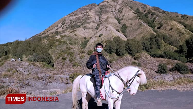 Bisa Naik Kuda dan Mobil Jeep, Ini Tiket Wisatawan Bromo 2022