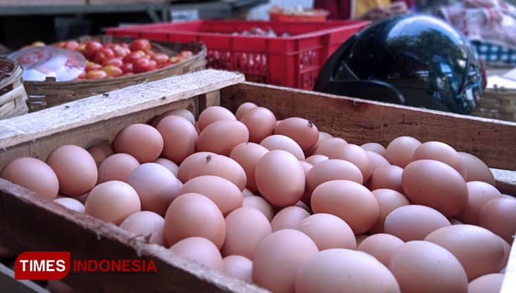 Harga Telur di Banyuwangi Naik, Ini Penyebanya