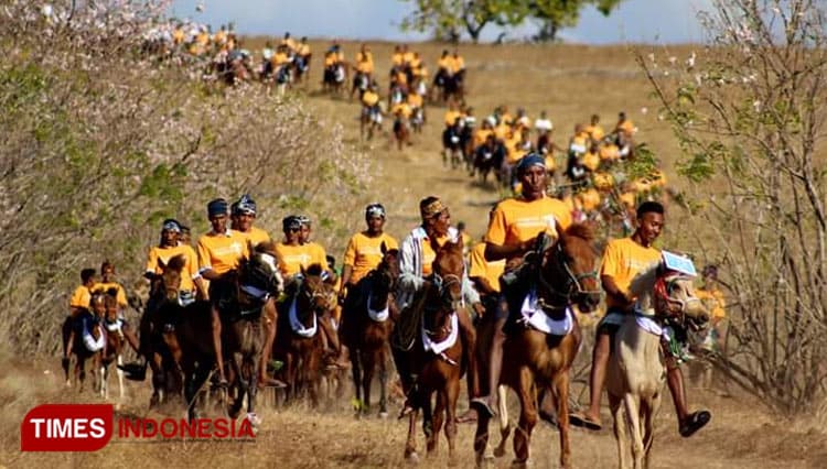 Berternak Kuda, Tradisi Unik Masyarakat Sumba
