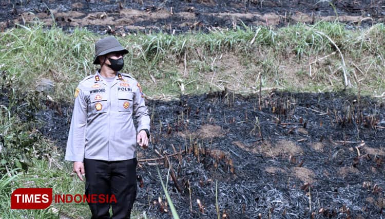 Membakar Sisa Panen Bisa Sebabkan Karhutla, Perhutani KPH Bondowoso Imbau Agar Dipendam