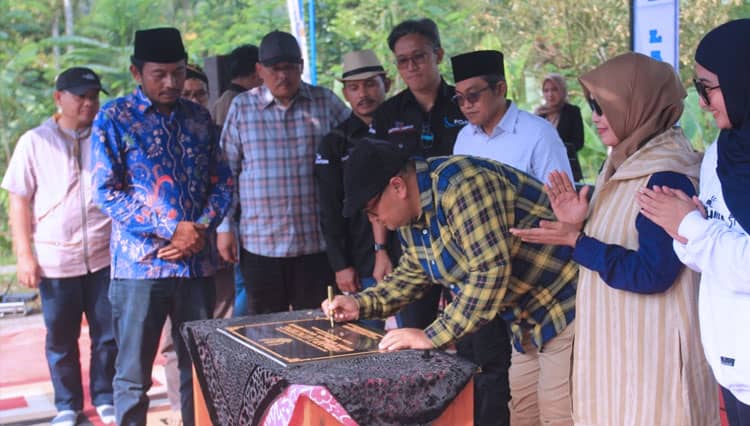 Mangrove Hingga Sampah untuk Mitigasi Perubahan Iklim