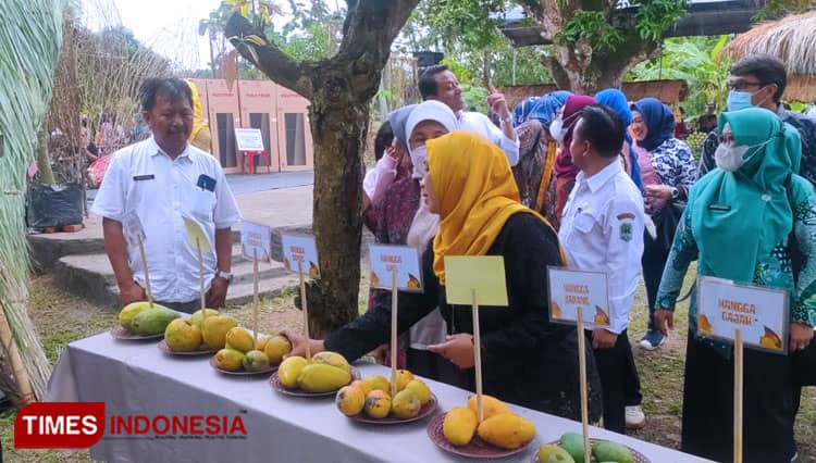Banyak Varian, Mangga Majalengka Makin Pede Bersaing dengan Wilayah Lain
