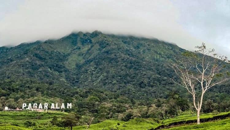 Wali Kota Pagar Alam Serukan Masyarakat Wujudkan Desa Tebat Lereh Berkelas Dunia di ADWI 2022