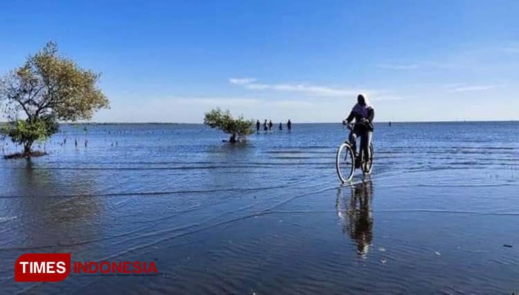 Sepotong Senja dan Rimbunnya Cemara Bisa Dinikmati di Dua Pantai di Kota Probolinggo