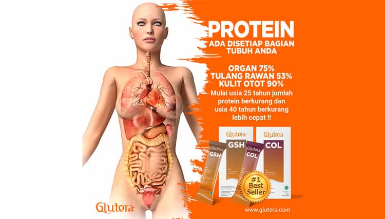 8 Dampak Bahaya Kekurangan Protein Bagi Tubuh