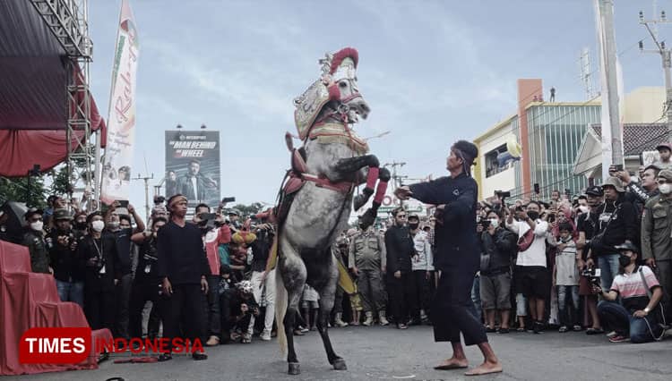 Mengenal Lebih Dekat Seni Atraksi Kuda Pencak Majalengka