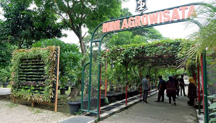 Kids Friendly Tourist Destinations in Surabaya