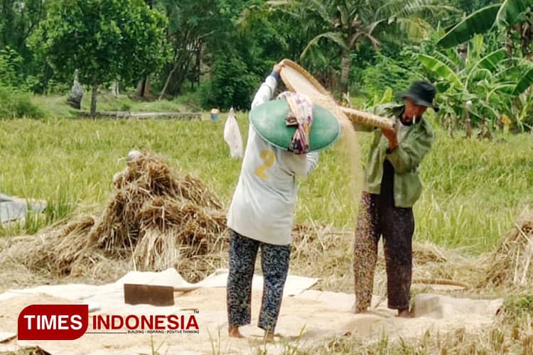 Sektor Pertanian dan UMKM Topang Ekonomi Kabupaten Majalengka saat Pandemi