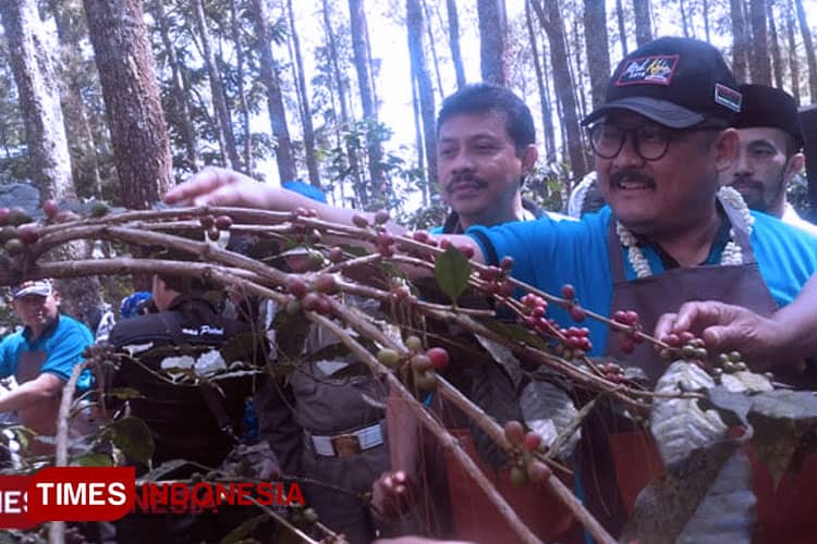 Kabupaten Bondowoso Siap Tingkatkan Produksi Kopi hingga Pertanian Organik