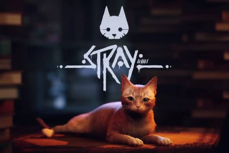 Tak Hanya Seru, Game Stray Bisa Bantu Kucing Jalanan