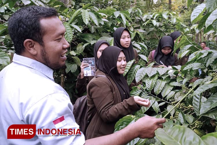 Mengintip Segudang Potensi Desa Wisata Gombengsari Banyuwangi