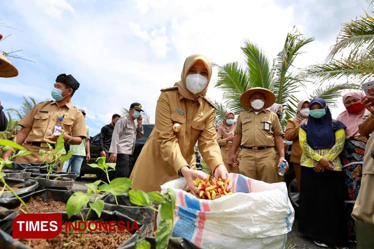 Stok Pangan di Banyuwangi Dipastikan Aman Selama Ramadan 2023 hingga Lebaran