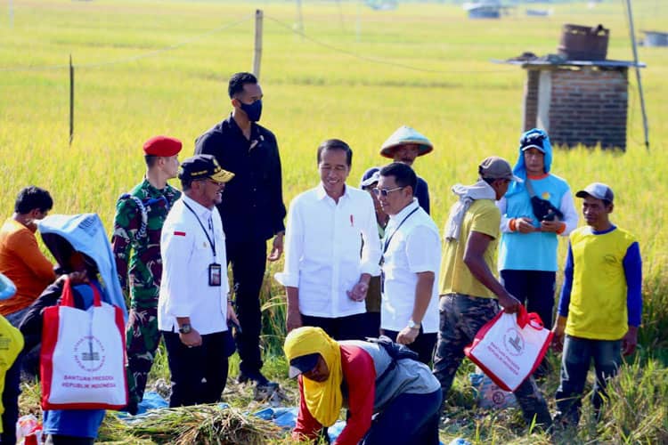 Gelar Kunker ke Ngawi, Presiden RI Jokowi Ajak Petani Terus Tanam Padi