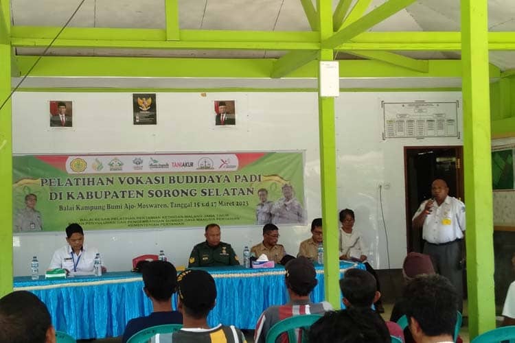 Wujudkan Ketahanan Pangan, Kementan Gelar Pelatihan Vokasi Budidaya Padi di Sorong Selatan