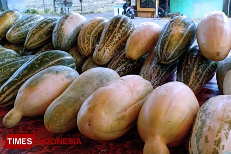 Bulan Ramadan Selalu Identik dengan Buah Krai, Apa Saja Keistimewaannya?
