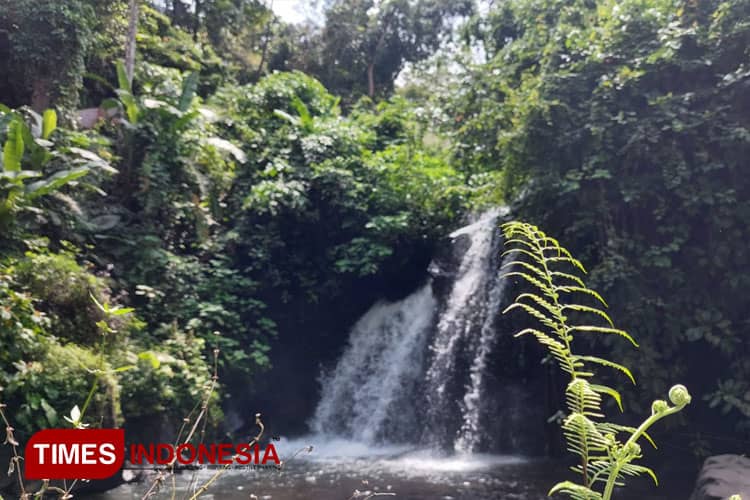 Menikmati Keindahan Air Terjun Hingga Sejarah Perjuangan di Antogan Banyuwangi