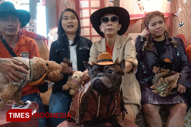 Ratusan Anjing Pakai Kostum Koboi Hadiri Perayaan Ultah Bulldog Mercy