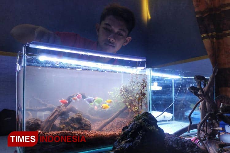 Iseng-iseng Membuat Aquascape, Pemuda Desa di Tulungagung Justru Kebanjiran Order