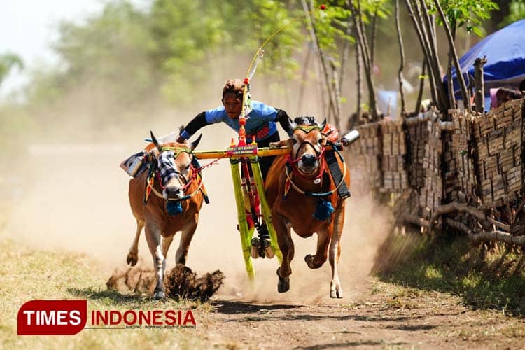 Sejarah Baru Masyarakat Madura, Pertama Kali Lomba Kerapan Sapi Piala Panglima TNI Digelar