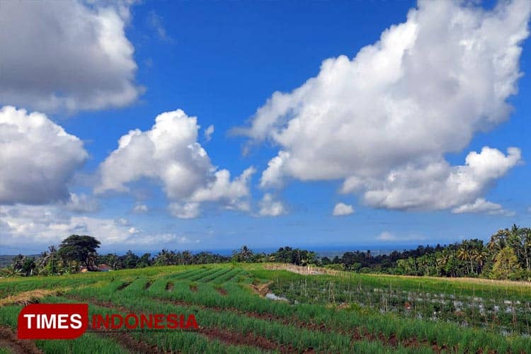 Spot Foto Hidden Gem di Banyuwangi Ini, Suguhkan Pesona Alam Yang Ciamik