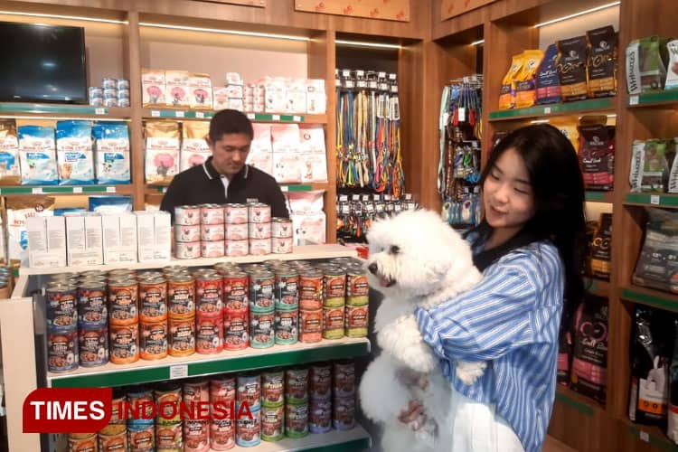 Layanan Grooming Premium Pet & Play Jadi Pilihan Pecinta Anabul
