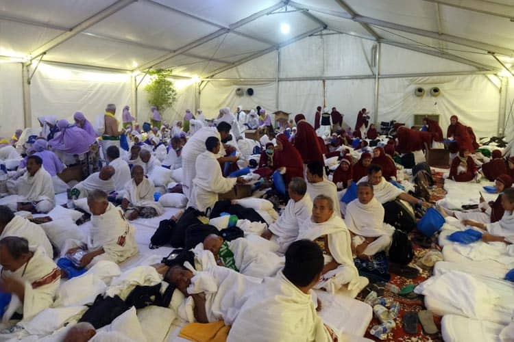 Puncak Haji, Hari Ini Jemaah Laksanakan Wukuf di Arafah