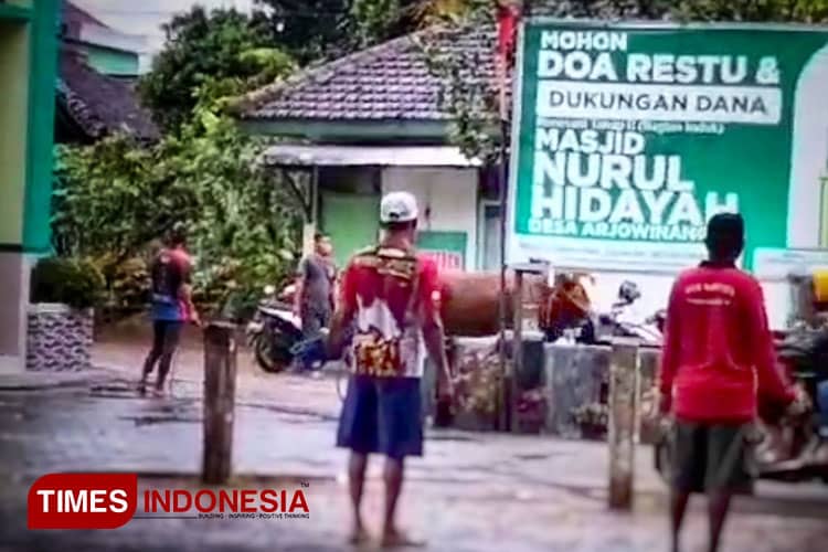Ngamuk, Sapi Kurban di Pacitan Kabur Sebelum Disembelih