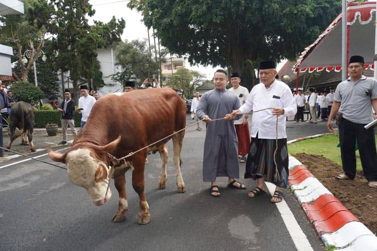 Hari Raya Idul Adha, Pemkab Malang Salurkan 50 Hewan Kurban