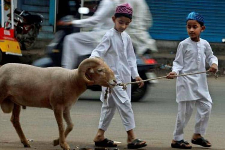 Anak Kecil Melihat Penyembelihan Hewan Kurban, Ini Kata Psikolog