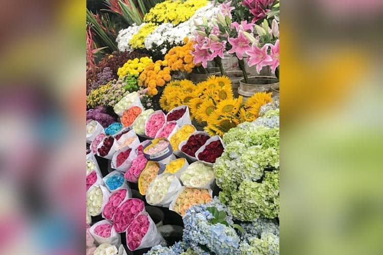 Tips Cerdik Bikin Bunga Potong Awet Segarnya