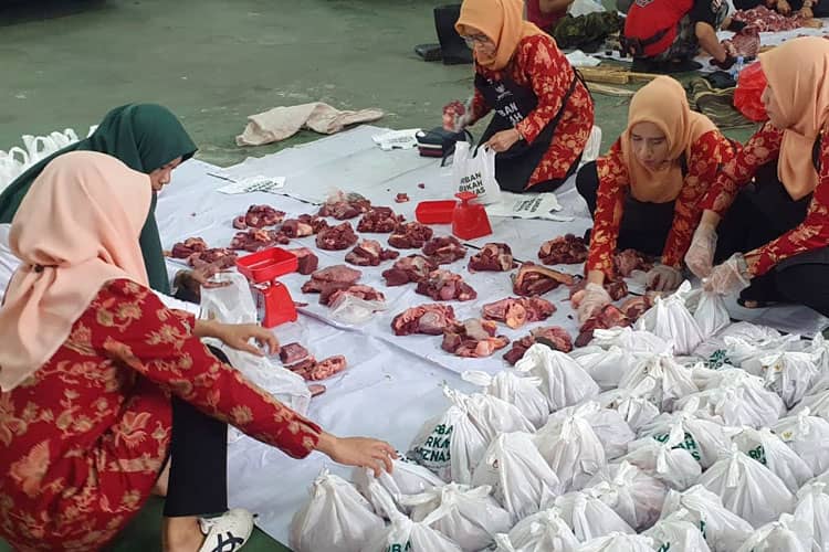 DWP Kemenag RI Bagian Daging Kurban ke Yatim dan Dhuafa