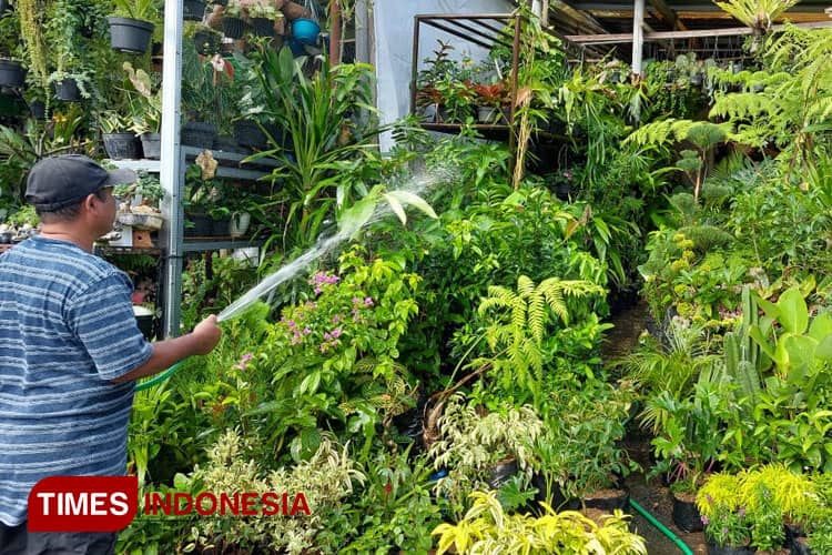 Pasar Bunga Splendid, Surga Menyegarkan di Tengah Kota Malang
