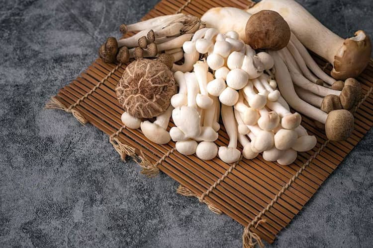 Menjelajah Jenis-jenis Jamur yang Boleh Dimakan di Dunia