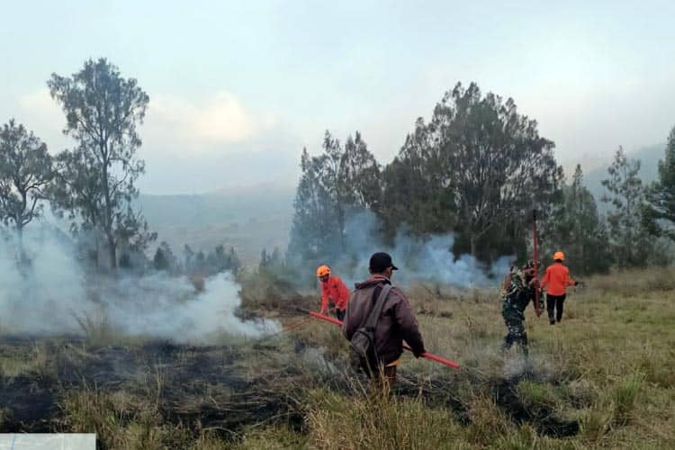 35 Hektar Lahan di Kawasan Wisata Kawah Wurung Ijen Bondowoso Terbakar