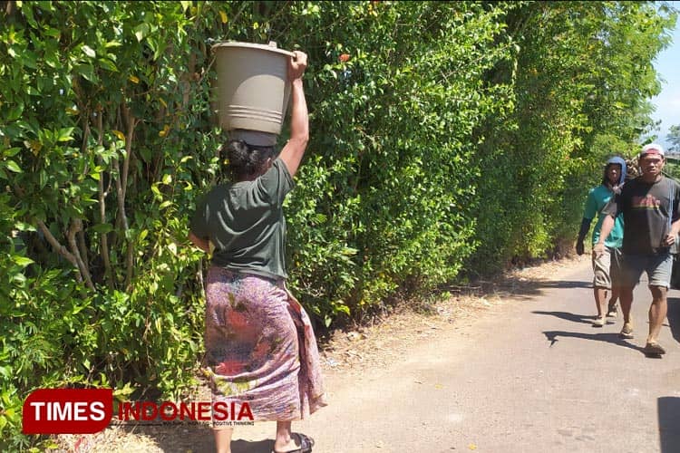 Kekeringan, Warga Desa di Bondowoso Mandi Dua Gayung Sehari