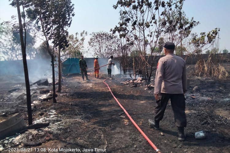 Lahan Belakang SMKN 1 Mojoanyar Mojokerto Terbakar, Siswa Panik