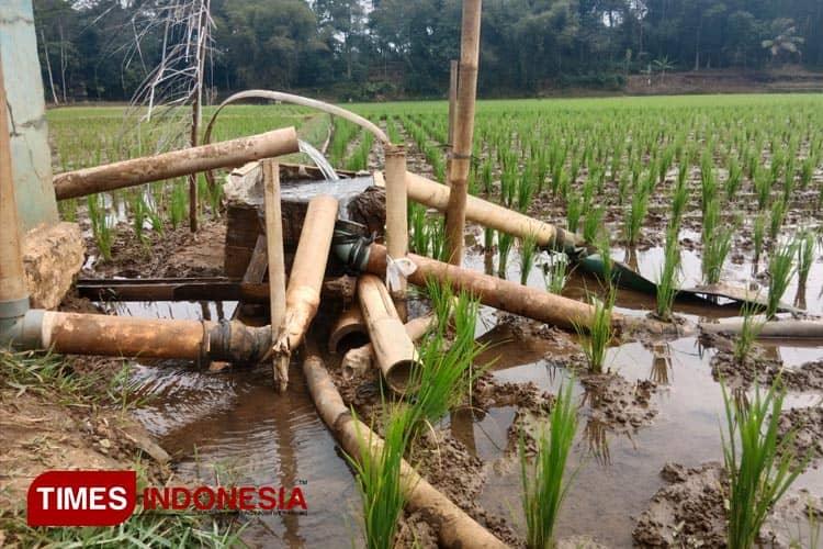 Kincir Air Tradisonal, Cara dan Tradisi Warga Sukasirna Tasikmalaya Atasi Kekeringan