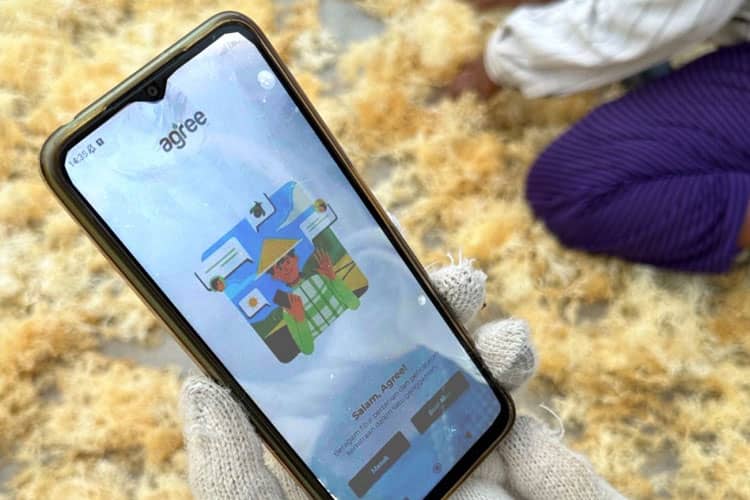 Platform Agree Milik Telkom Dukung Optimalkan Hasil Panen Budi Daya Rumput Laut di NTT