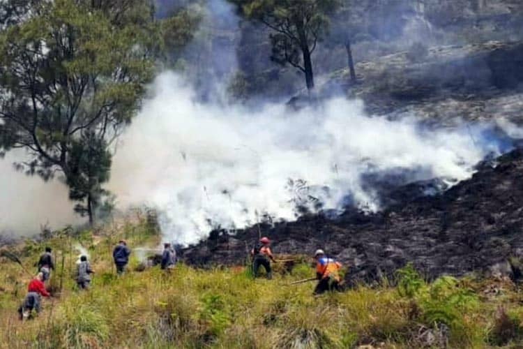 Gunung Ringgit dan Bukit Lembu di Sekitar Bromo Ikut Terbakar, PHRI: Wisatawan Masih Aman