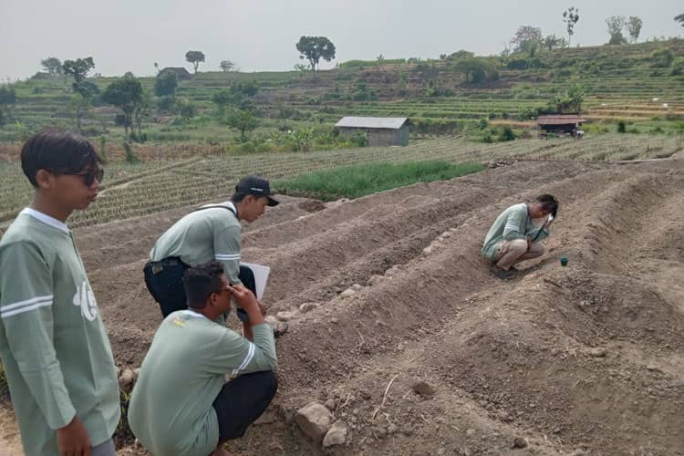 Maksimalkan Hasil Pertanian KSM Unisma Malang Cek Kadar Ph dan Kelembapan Tanah