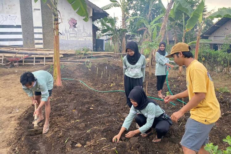 KSM-T Unisma Malang Aktifkan Lahan Toga Kembali Guna Dukung UMKM Dusun Gading