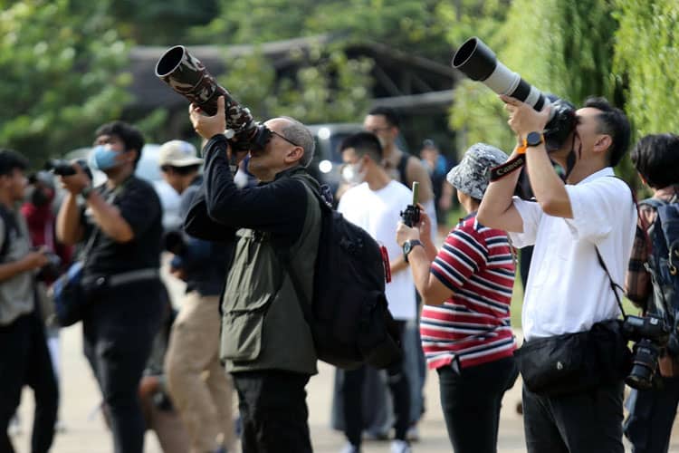 Rayakan Hari Cinta Puspa dan Satwa Nasional 2023, KEHATI-PFI Jakarta Gelar Lomba Foto dan Pameran Virtual