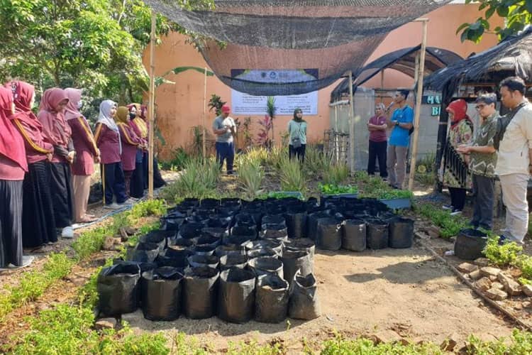 Tim Dosen UWG Malang Sosialisasikan Urban Farming untuk Tingkatkan Ketahanan Pangan