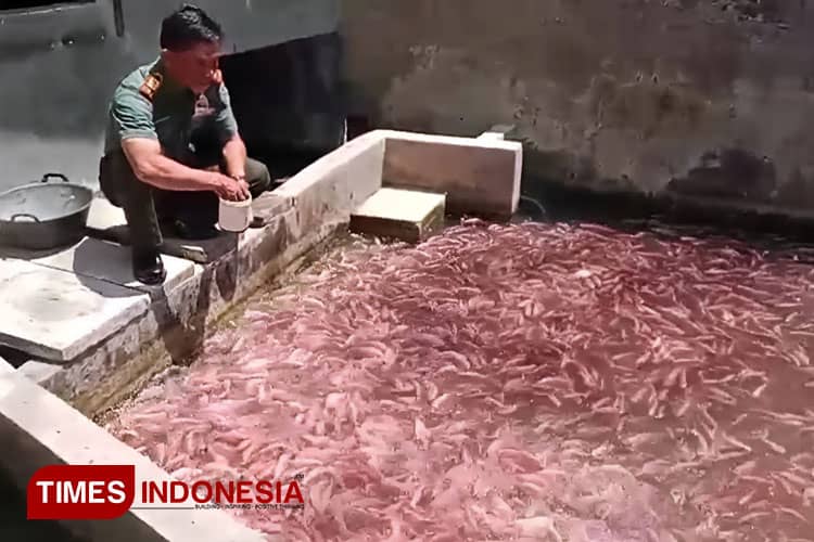 Kodim 0617 Majalengka Manfaatkan Embung untuk Budidaya Ikan